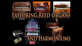 Exploring Reed Organs and Harmoniums