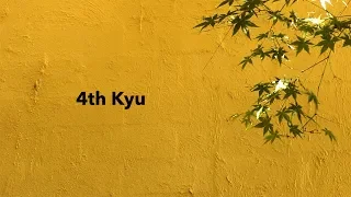 4th Kyu