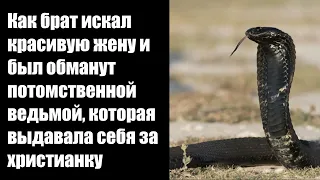 Брат искал себе красивую жену, а сатана приготовил сеть. Проповеди и свидетельства христианские.