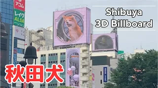 【渋谷駅前の3Dビジョン】3D Digital Billboard Japan in Shibuya Tokyo