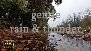 gentle Rain Sound and Thunder with birds singing-Relaxing Sleep