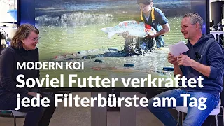 Wie viele Bürsten braucht es für 500gr Futter am Tag | Modern Koi Blog #6588