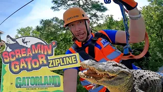 🐊 Gatorland Florida Zipline with Handyman Hal | The Awesome Song