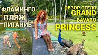 Обзор отеля Grand Bavaro Princess: фламинго, пляж, питание, номера - iDominicana.com