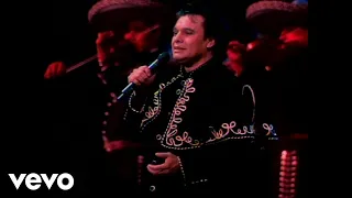 Juan Gabriel - Te Sigo Amando (En Vivo [Desde el Instituto Nacional de Bellas Artes])