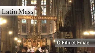 O Filii et Filiae (Latin Mass)