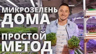 Микрозелень дома простой метод выращивания