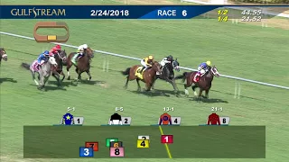 Gulfstream Park Race 6 | February 24, 2018