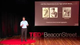 Cancer, Alzheimer's & Protein Origami | David Pincus | TEDxBeaconStreet