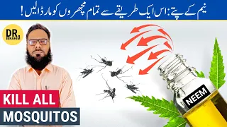 Neem Ke Patte Ke Fayde - Machar Bhagane Ka Tarika - Neem Benefits: Kill All Mosquitos - Urdu/Hindi