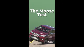 Don't Try The Moose Test...