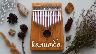 РАСПАКОВКА КАЛИМБЫ | Обзор и звучание калимбы | Kalimba