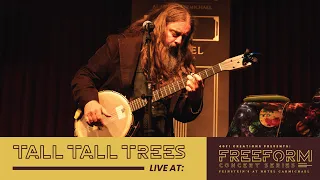 Tall Tall Trees - High On The Mountain | Freeform Concert Series