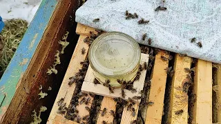 Подкормка пчёл в феврале сахарным сиропом.