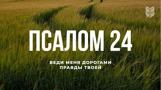 Псалом 24. Современный перевод Библии #biblevision