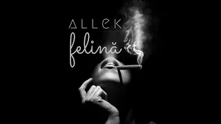 Allek - Felina 😈 (Official Audio)