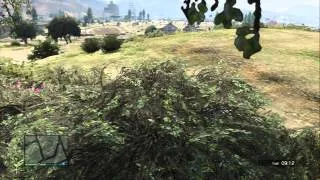 Grand Theft Auto Online - Grapeseed Farm (Last Team Standing) Short Match, Winner Multiplayer PS3