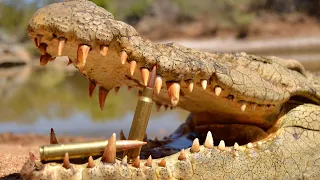 Crocodile Hunting with RW Safaris and African Sun Productions