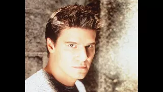 David Boreanaz TV Roles Through the Years