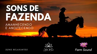 SONS DE FAZENDA  |  Amanheça e Anoiteça na roça