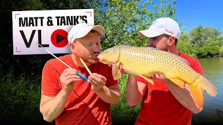 Fishing For BIG Carp On A Waggler | Matt and Tank VLOG #026