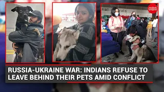 Russia-Ukraine War: Indians refuse to leave behind their pets amid conflict