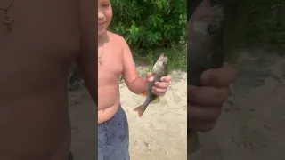 Рыбалка на окуня. Труханов остров. #fishing