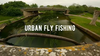 River Itchen - Urban Fly Fishing For Brown Trout