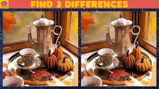 【Find the Difference】Brain Game Puzzle "Tea Time in Autumn" 45