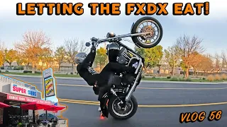 Letting the FXDX EAT! Vlog 56