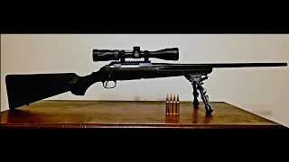 Ruger American .308/Vortex Combo