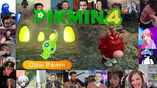 The Internet Reacts to Pikmin 4