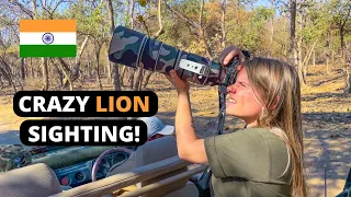 The ONLY ASIATIC LIONS of GIR FOREST, INDIA. 🇮🇳