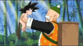 Dragon Ball the beginning