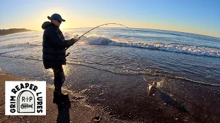 Great Day Catching Kahawai on Small Grim Reaper Lures