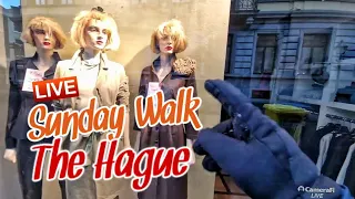 The oldest street of The Hague - Live Walking Tour