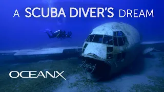 Scuba Dive On An Underwater Museum I Mission Meditations