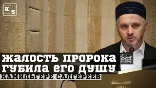 Жалость Пророка ﷺ губила его душу┇Камильгере Салгереев