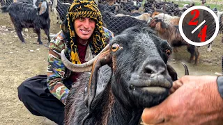 Hard life of two men alone in the mountains far from civilization | nomadic life