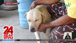 Furparent, namatayan ng alagang aso dahil sa init | 24 Oras Weekend