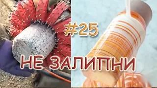 САМОЕ ПРИЯТНОЕ ВИДЕО В МИРЕ ► ПОПРОБУЙ НЕ ЗАЛИПНИ (ФЕВРАЛЬ 2021) #25