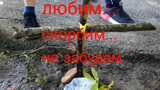 в пятигорске погибла муха😔 похороны мухи