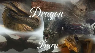 Burn// Game of trône and House of the Dragon