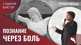 Виктор Судаков - Познание через боль