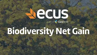 What You Need To Know - Biodiversity Net Gain