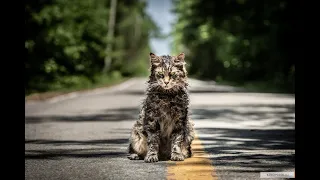 Кладбище домашних животных (Pet Sematary) 2019 трейлер