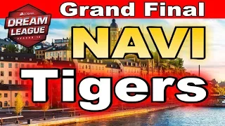 Tigers vs Navi Game 1 & 2 The Grand Final DreamLeague S10