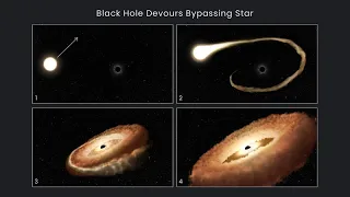 Star spotted in its final moments before it gets swallowed by black hole