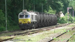 Bahnhof Großenkneten mit Tiger 077 003 der Euro Cargo Rail