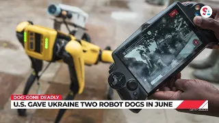 Russian man makes homemade armed robot dog